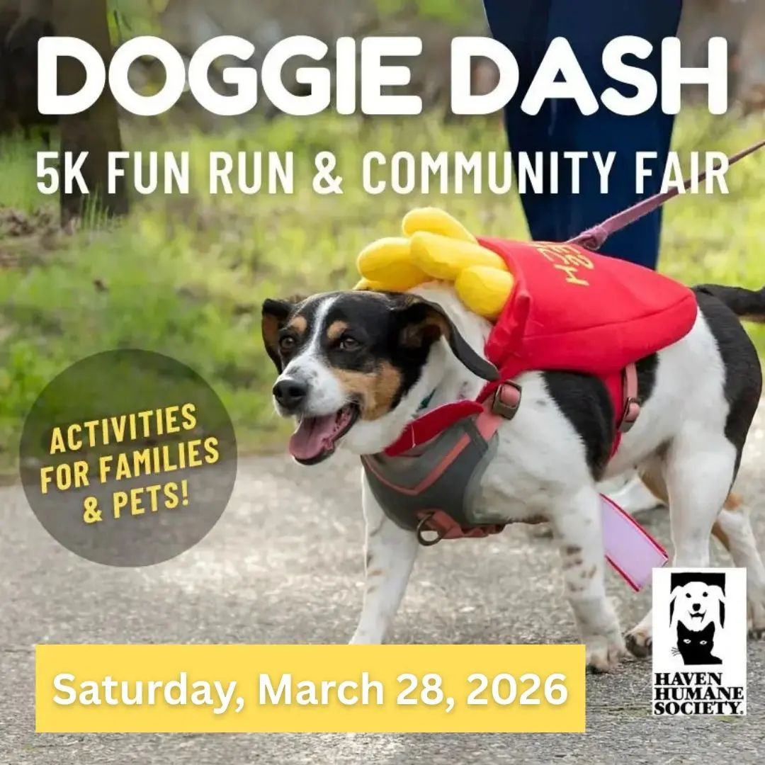 DOGGIE DASH 5K FUN RUN COMMUNITY FAIR VISIT REDDING