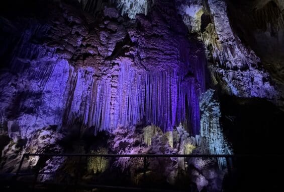 The Cathedral Room at Lake Shasta Caverns illuminated with purple and blue lighting, highlighting tall flowstone formations and intricate limestone textures that rise from floor to ceiling.