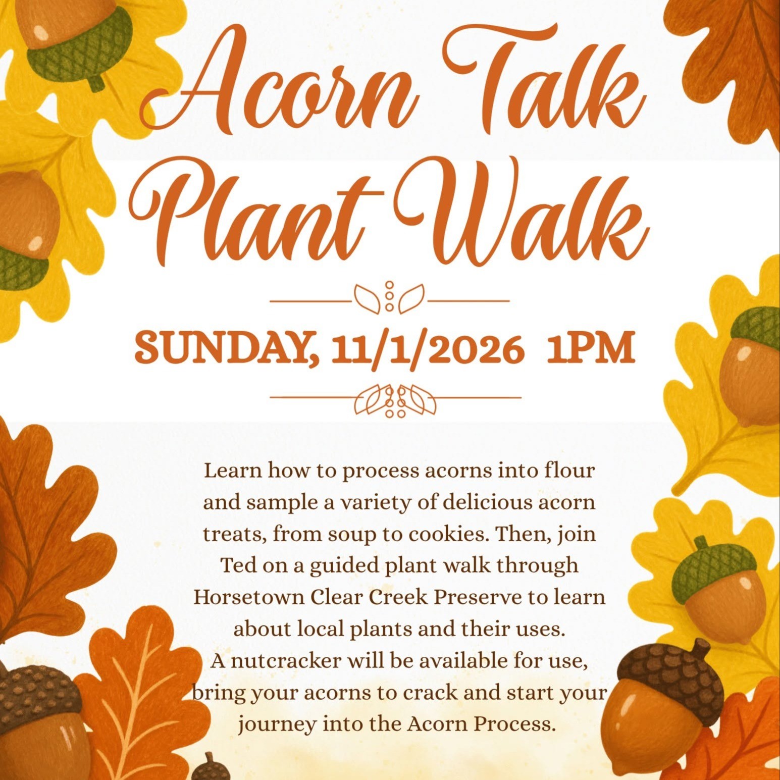 Acorn Talk Plant Walk, Sunday 11/1/2026, 1pm. Learn how to process acorns into flour and sample a variety of delicious acorn treats, from soup to cookies. Then, join Ted on a guided plant walk through Horsetown Clear Creek Preserve to learn about local plants and their uses. A nutcracker will be available for use, bring your acorns to crack and start your journey into the acorn process.