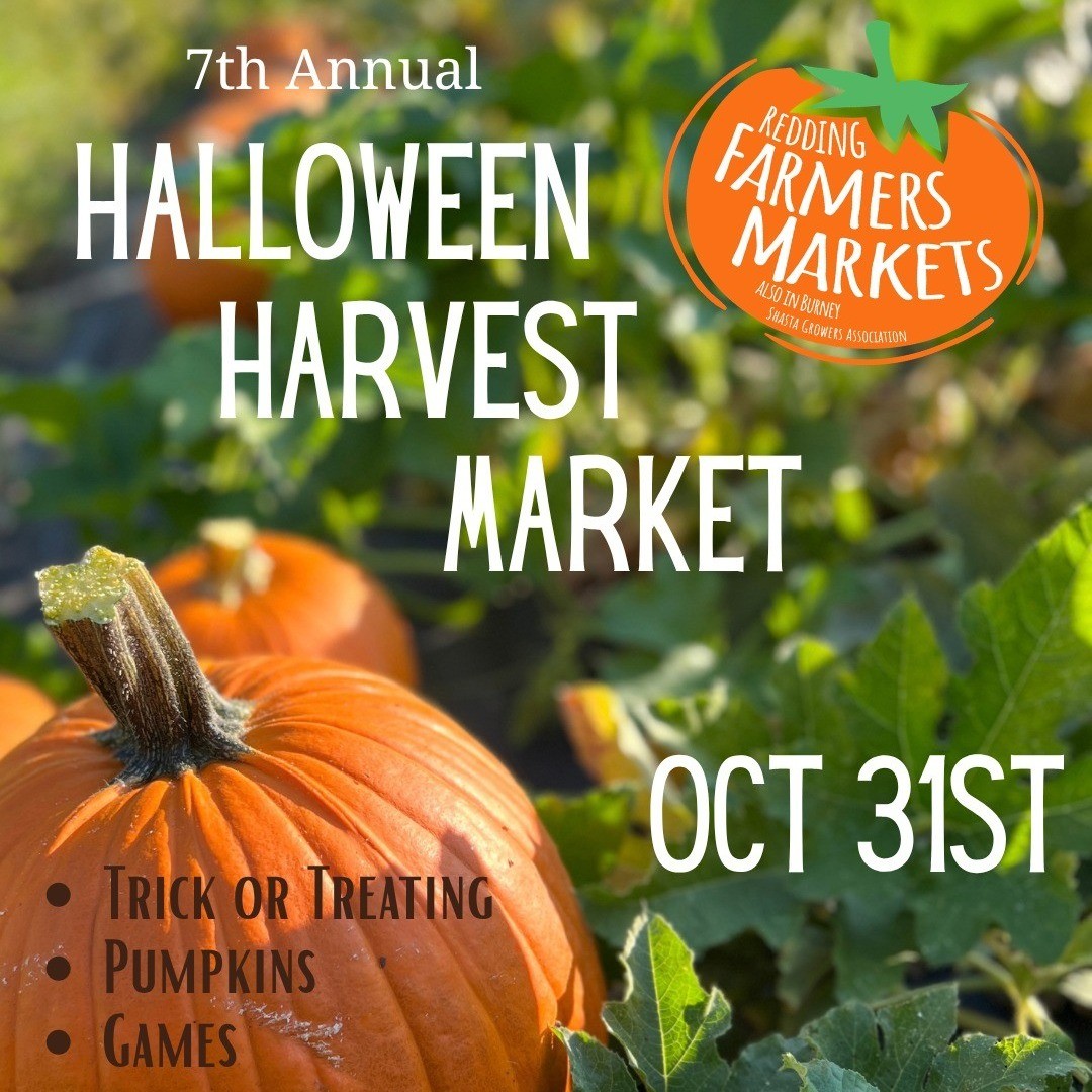 Halloween Harvest Market