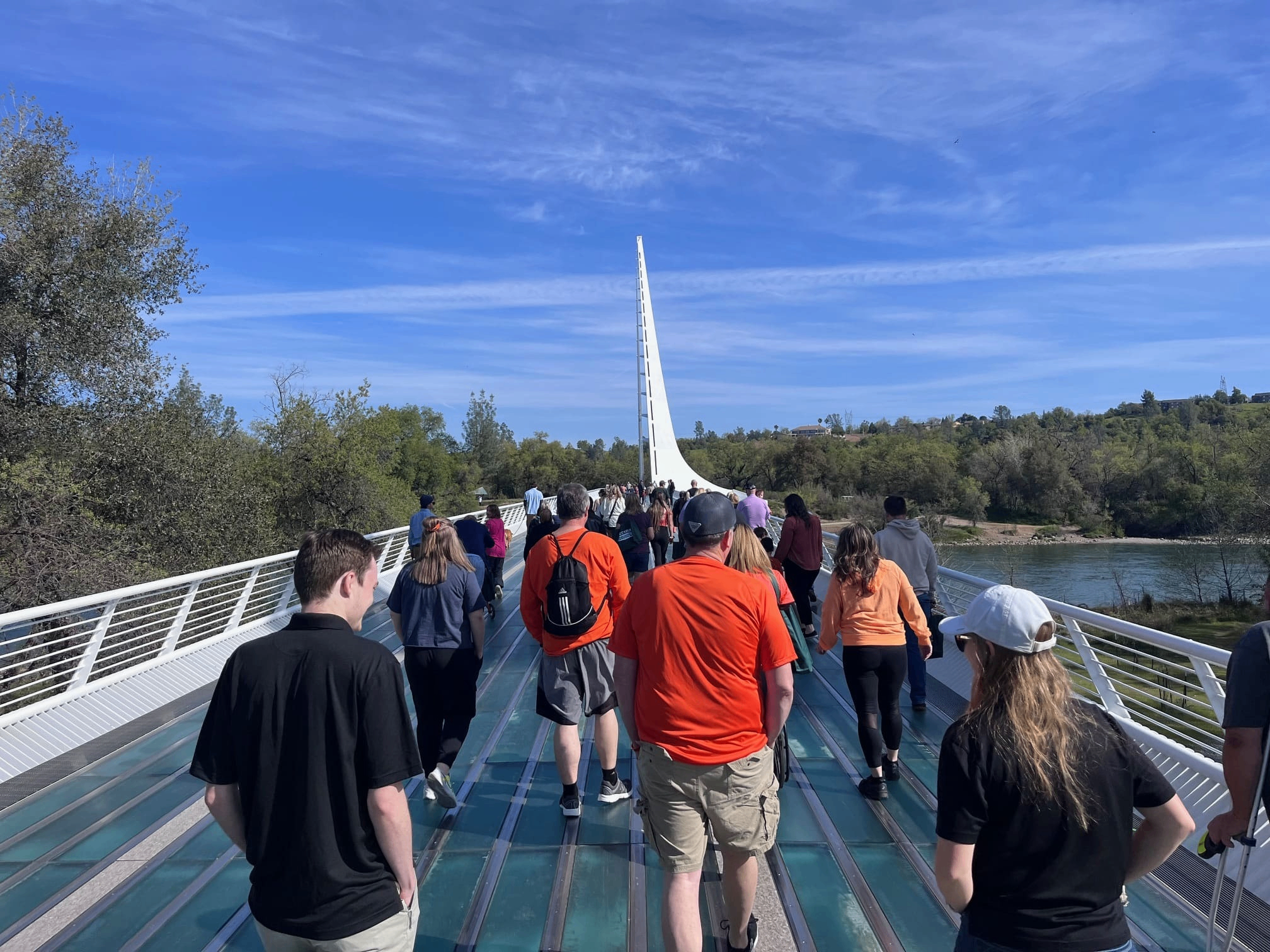 A group of people walking across the Sundial Bridge in Redding on a clear day. The glass-bottom pedestrian bridge spans the Sacramento River, with trees lining both sides and the white architectural pylon rising ahead under a blue sky.